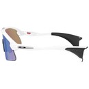 Oakley Stunt Devil Sunglasses