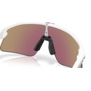 Oakley Stunt Devil Sunglasses
