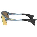 Oakley Stunt Devil Sunglasses