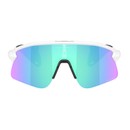 Oakley Stunt Devil S Sunglasses