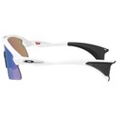 Oakley Stunt Devil S Sunglasses