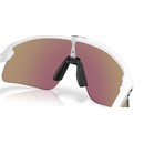 Oakley Stunt Devil S Sunglasses