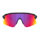 Oakley Stunt Devil S Sunglasses
