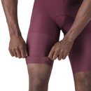 Castelli Premio Evo Bib Shorts