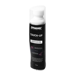 Lake Dynamic Touch Up Kit