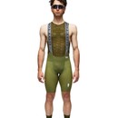 Q36.5 Dottore Pro Bib Shorts