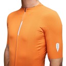 Q36.5 Dottore Pro Short Sleeve Jersey