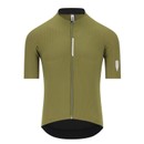 Q36.5 Dottore Pro Short Sleeve Jersey