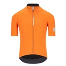Q36.5 Dottore Pro Short Sleeve Jersey