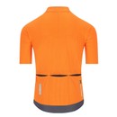 Q36.5 Dottore Pro Short Sleeve Jersey