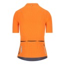 Q36.5 Women's Dottore Pro Short Sleeve Jersey