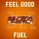 Veloforte Natural Energy Bar 70g