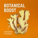 Veloforte Citrio Energy Chews