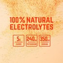 Veloforte Solo Hydration Sachet Box Of 12 X 7g