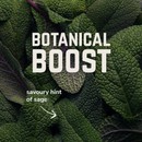 Veloforte Solo Hydration Sachet Box Of 12 X 7g