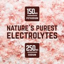 Veloforte Nova Vegan Protein Recovery Shake Sachet 62.5g