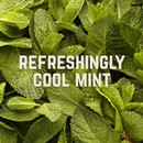 Veloforte Fresco Cubos Energy Chews Box Of 12