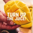 Veloforte Mixed Hydration Sachet Box X12