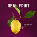 Veloforte Primo Nectar Energy Gel 33g