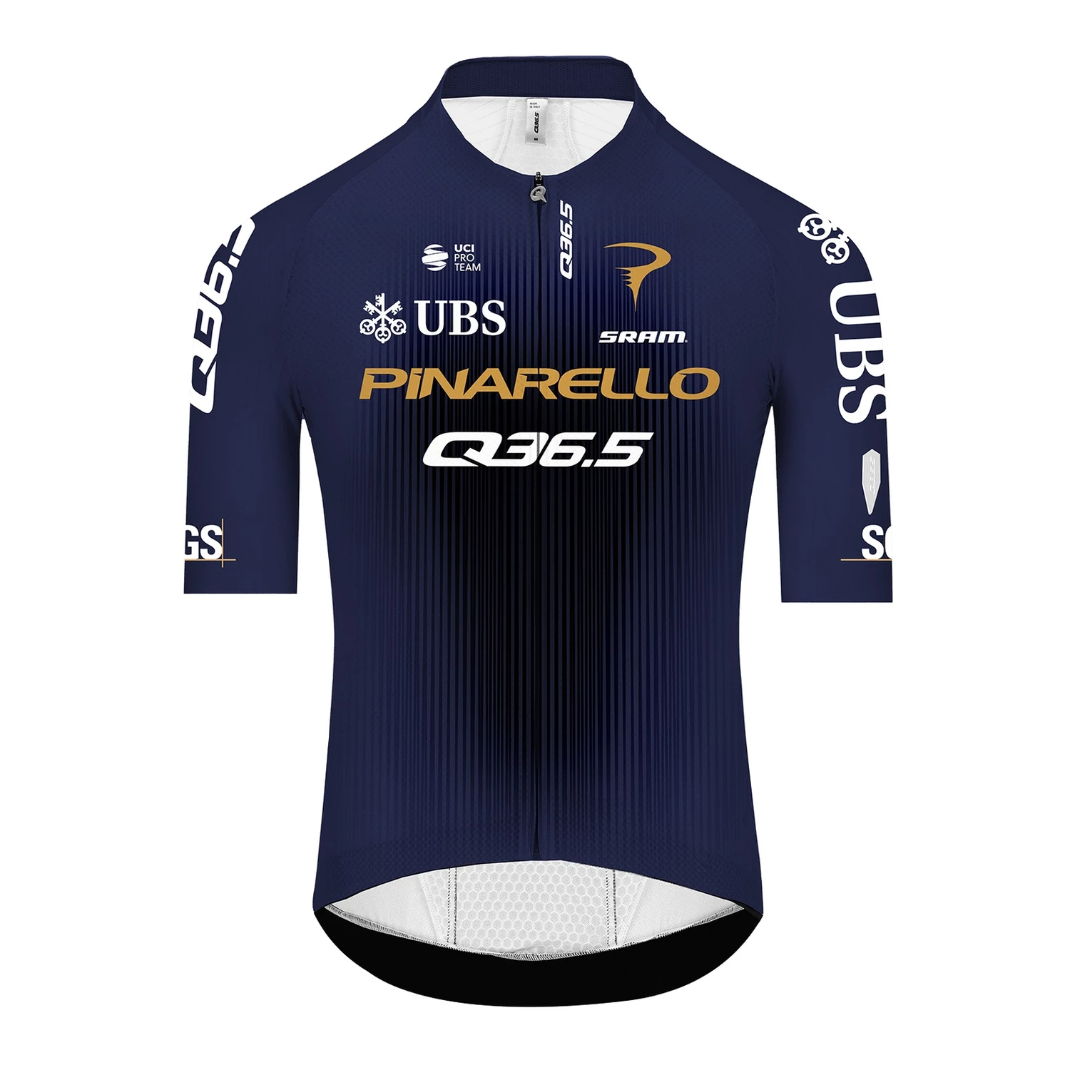 Q36.5 Gregarius Pinarello- Pro Cycling Team Jersey | Sigma Sports