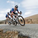 Specialized Red Bull - BORA - Hansgrohe Race Bib Shorts LTD