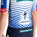 Specialized Red Bull - BORA - Hansgrohe Race Jersey