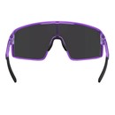 Bliz P001 Sunglasses