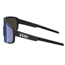 Bliz P003 Sunglasses