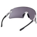 Adidas Dunamis Pro Sunglasses