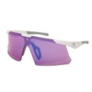 Adidas Dunamis EVO-S Sunglasses