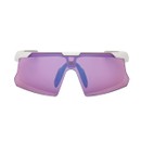 Adidas Dunamis EVO-S Sunglasses