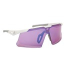 Adidas Dunamis EVO-S Sunglasses