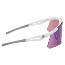 Adidas Dunamis EVO-S Sunglasses