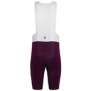 Rapha Pro Team Bib Shorts III -  Regular