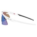 Oakley RSLV Lite Sunglasses