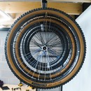 Stashed LodeStar 4 Wheel Ceiling Set