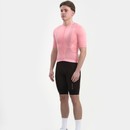 Universal Colours Mono Short Sleeve Jersey