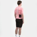 Universal Colours Mono Short Sleeve Jersey