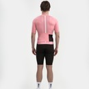 Universal Colours Mono Short Sleeve Jersey