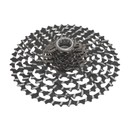 Campagnolo Record 13 Speed Gravel Cassette