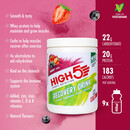 High5 High5 Recovery Drink Tub