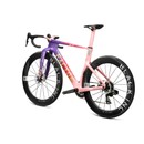 Factor ONE Limited Edition TDFF Frameset & Black Inc Wheelset