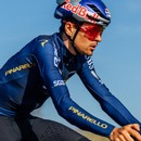 Q36.5 Gregarius Q36.5 Pro Cycling Team Long Sleeve Jersey