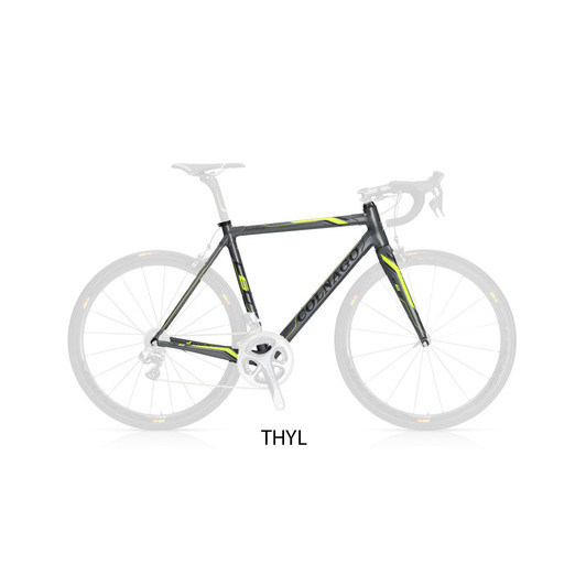 Colnago C60 Racing Dual Routed Frameset