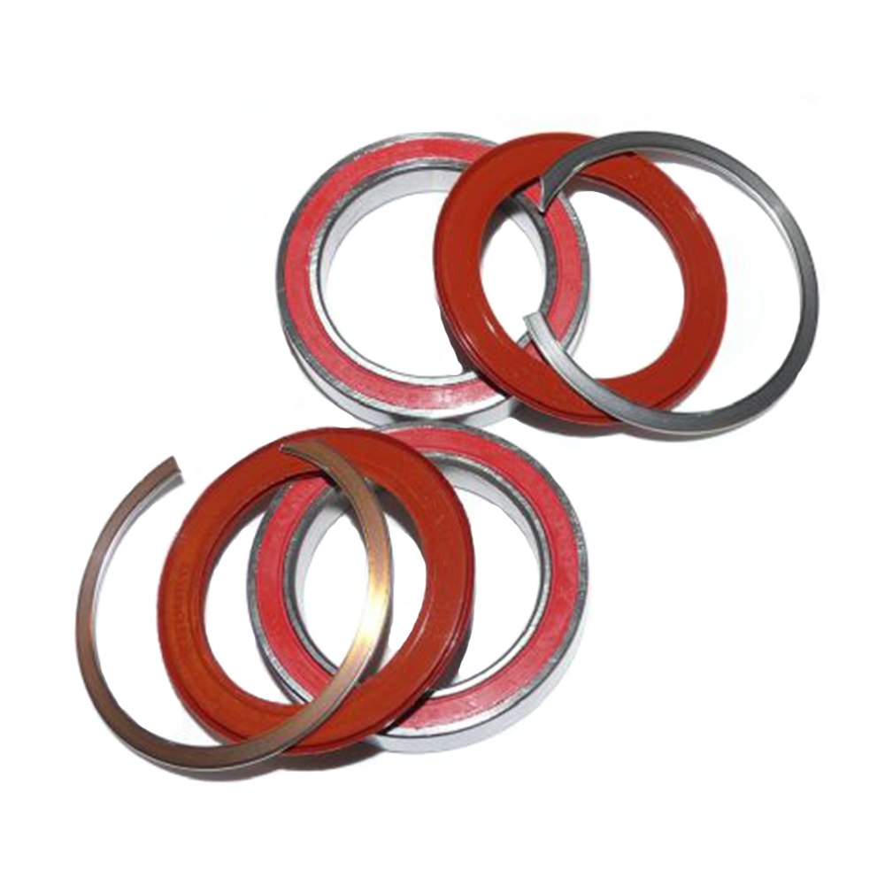 Rotor BB30 Ceramic Bearing Kit Sigma Sports