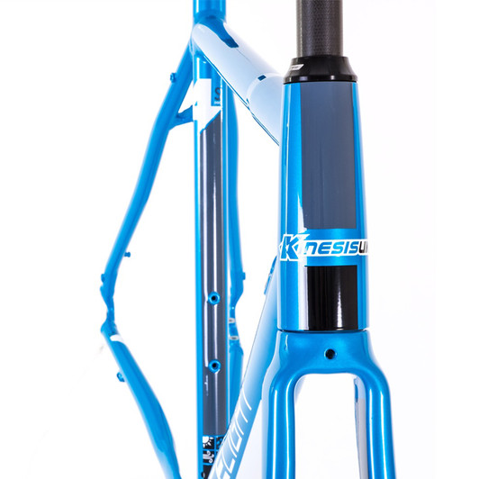Kinesis Racelight 4S Disc Frameset