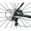Focus Cayo Disc Ultegra Road Bike 2016